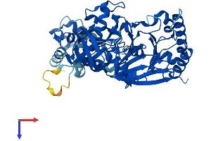 POLE2 Protein (AA 1-527) (His tag)
