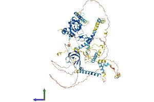 Protein Structure (PS) image for Minichromosome Maintenance Deficient 10 (MCM10) (AA 1-885) protein (His tag) (ABIN7563621)