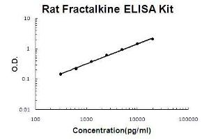 Rat Fractalkine PicoKine ELISA Kit standard curve (CX3CL1 ELISA 试剂盒)