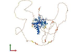AlphaFold protein structure predicition of Mouse Recombinant Nfib Protein, UniprotID P97863