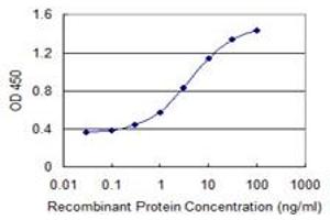 Detection limit for recombinant GST tagged GCA is 0. (Grancalcin 抗体  (AA 1-217))