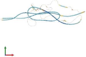AlphaFold protein structure predicition of Mouse Recombinant Golga3 Protein, UniprotID P55937