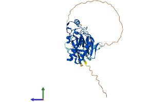 Protein Structure (PS) image for Aprataxin (APTX) (AA 1-356) protein (His tag) (ABIN7552198)