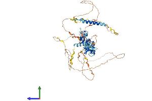 AlphaFold protein structure predicition of Mouse Recombinant Lpp Protein, UniprotID Q8BFW7 (LPP Protein (AA 1-613) (His tag))