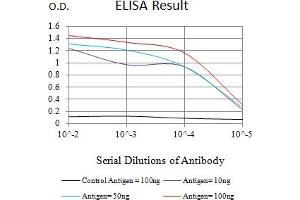 Black line: Control Antigen (100 ng),Purple line: Antigen (10 ng), Blue line: Antigen (50 ng), Red line:Antigen (100 ng) (MLH1 抗体  (AA 381-483))