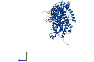 AlphaFold protein structure predicition of Mouse Recombinant Lmf1 Protein, UniprotID Q3U3R4