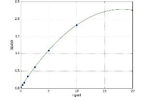 Heat Shock Factor Protein 1 (HSF1) ELISA Kit