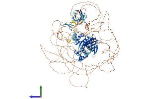 Protein Structure (PS) image for FERM and PDZ Domain Containing 4 (FRMPD4) (AA 1-1322) protein (His tag) (ABIN7553960)