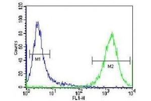 PRMT4 antibody flow cytometric analysis of Jurkat cells (green) compared to a negative control (blue). (CARM1 抗体  (AA 346-377))