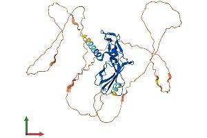 Protein Structure (PS) image for Glial Cells Missing Homolog 1 (GCM1) (AA 1-436) protein (His tag) (ABIN7556704)