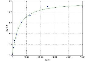 Isocitrate Dehydrogenase 1 (NADP+), Soluble (IDH1) ELISA Kit
