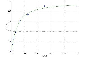A typical standard curve (IDH1 ELISA 试剂盒)