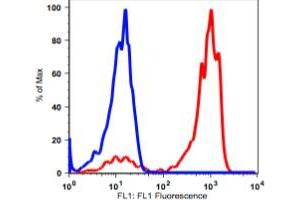 Image no. 2 for anti-Fc gamma RII (CD32) antibody (FITC) (ABIN2704248) (Fc gamma RII (CD32) 抗体 (FITC))