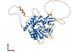 Protein Structure (PS) image for Methyltransferase Like 4 (METTL4) (AA 1-471) protein (His tag) (ABIN7557112)