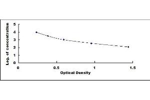 Typical standard curve