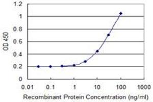 Detection limit for recombinant GST tagged ASGR2 is 1 ng/ml as a capture antibody. (Asialoglycoprotein Receptor 2 抗体  (AA 1-287))