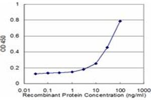 Detection limit for recombinant GST tagged BMPR1B is approximately 3ng/ml as a capture antibody. (BMPR1B 抗体  (AA 24-127))