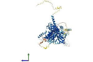 Protein Structure (PS) image for TSR1, 20S rRNA Accumulation, Homolog (TSR1) (AA 1-803) protein (His tag) (ABIN7557547)