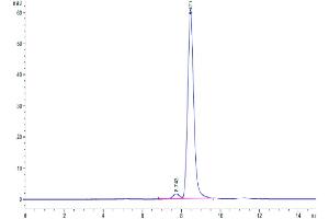 Size-exclusion chromatography-High Pressure Liquid Chromatography (SEC-HPLC) image for Hemopexin (HPX) (AA 24-462) protein (His tag) (ABIN7274826)