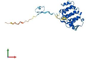 Protein Structure (PS) image for PARK2 Co-Regulated (PACRG) (AA 1-241) protein (His tag) (ABIN7561224)