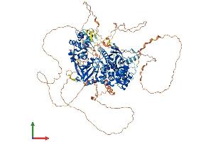 Protein Structure (PS) image for Family with Sequence Similarity 120A (FAM120A) (AA 1-1112) protein (His tag) (ABIN7564037)