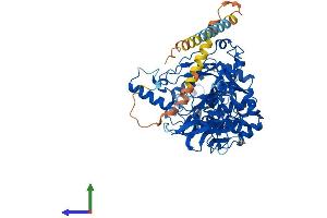 AlphaFold protein structure predicition of Human Recombinant GALNT18 Protein, UniprotID Q6P9A2