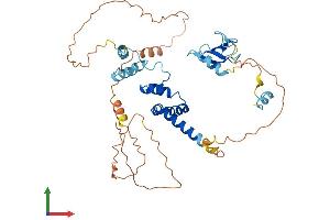 AlphaFold protein structure predicition of Mouse Recombinant Fbxo5 Protein, UniprotID Q7TSG3