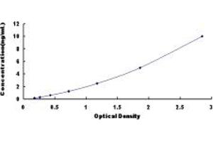 Typical standard curve (NEU2 ELISA 试剂盒)