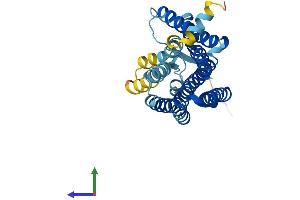 Protein Structure (PS) image for Olfactory Receptor, Family 7, Subfamily A, Member 17 (OR7A17) (AA 1-309) protein (His tag) (ABIN7550315)
