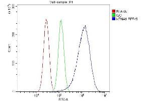 Flow Cytometry analysis of U87 cells using anti-SRP1/KPNA1 antibody (ABIN7603189).