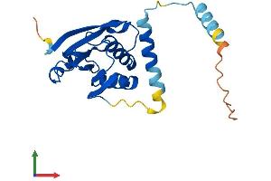 AlphaFold protein structure predicition of Human Recombinant SERHL Protein, UniprotID Q9NQF3