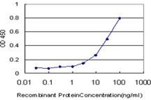 Detection limit for recombinant GST tagged TIMP1 is approximately 3ng/ml as a capture antibody. (TIMP1 抗体  (AA 1-169))