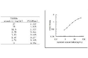 TAR DNA Binding Protein (TARDBP) ELISA Kit