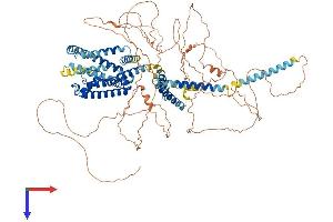 KCNQ5 Protein (AA 1-933) (His tag)