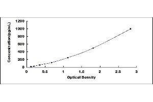 Typical standard curve (VEGFC ELISA 试剂盒)