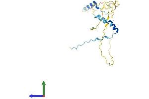 Protein Structure (PS) image for Protein Phosphatase 1, Regulatory (Inhibitor) Subunit 1B (PPP1R1B) (AA 1-194) protein (His tag) (ABIN7557622)
