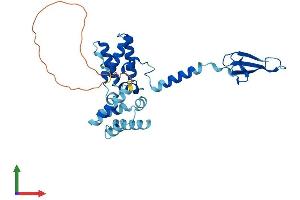 Protein Structure (PS) image for Transcription Elongation Factor A Protein 1 (TCEA1) (AA 1-301) protein (His tag) (ABIN7544333)