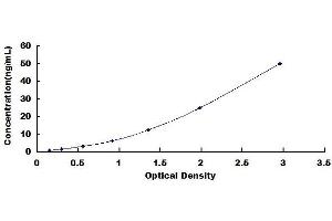 Typical standard curve (CYP2B6 ELISA 试剂盒)