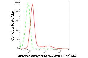 Flow cytometric analysis of Carbonic anhydrase 1 expression in H9c2 cells using Carbonic anhydrase 1 antibody (ABIN7797867), 1:2,000). (Recombinant CA1 抗体)