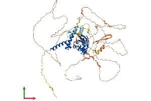 Protein Structure (PS) image for Aryl-Hydrocarbon Receptor Repressor (AHRR) (AA 1-701) protein (His tag) (ABIN7551991)