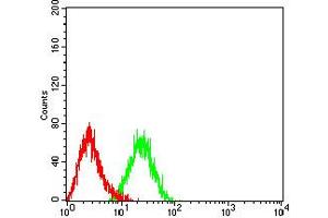 Flow cytometric analysis of HL-60 cells using CD197 mouse mAb (green) and negative control (red). (CCR7 抗体)
