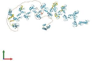 AlphaFold protein structure predicition of Human Recombinant ZNF850 Protein, UniprotID A8MQ14