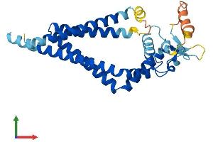AlphaFold protein structure predicition of Human Recombinant CD37 Protein, UniprotID P11049