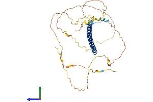 AlphaFold protein structure predicition of Mouse Recombinant Fosb Protein, UniprotID P13346