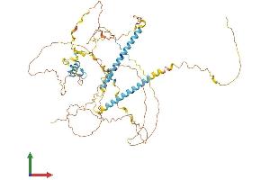 Protein Structure (PS) image for FIP1 Like 1 (FIP1L1) (AA 1-594) protein (His tag) (ABIN7553921)