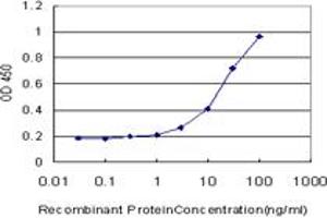Detection limit for recombinant GST tagged HPSE is approximately 0. (HPSE 抗体  (AA 72-170))