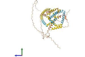 Protein Structure (PS) image for Perilipin 1 (PLIN1) (AA 1-522) protein (His tag) (ABIN7550723)