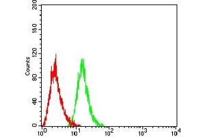 Flow cytometric analysis of HL-60 cells using CD334 mouse mAb (green) and negative control (red). (FGFR4 抗体  (AA 22-369))