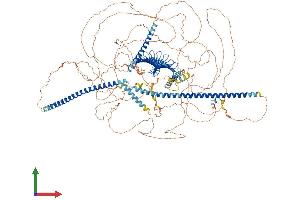 Protein Structure (PS) image for Centromere Protein J (CENPJ) (AA 1-1338) protein (His tag) (ABIN7553350)