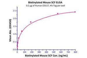 Binding Studies (Bind) image for Mast/stem Cell Growth Factor Receptor (KIT) (AA 26-516) (Active) protein (His tag) (ABIN2870617)